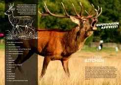 Don Marcos Wild Kitchen 1.0 - Das Buch Zum Gewürz -Broil King Store 19383 Don Marcos Barbecue Wild Kitchen P 8 1558084592