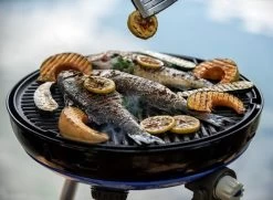 CADAC Camping Gasgrill Carri Chef 50 / BBQ Plancha + Dome - 30 Mbar 9 CADAC Camping Gasgrill Carri Chef 50 / BBQ Plancha + Dome - 30 Mbar -Broil King Store CADAC Carri Chef 50 30mbar Plancha