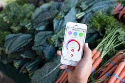 Meater Bluetooth Und WLAN Grillthermometer -Broil King Store Meater App Thermometer