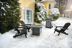 Napoleon Freestyle 365 Gasgrill, Graphit - Mit Seitenbrenner - Modell 2023 41 Napoleon Freestyle 365 Gasgrill, Graphit - Mit Seitenbrenner - Modell 2023 -Broil King Store Napoleon Freestyle F365SBGT Lifestyle Winter