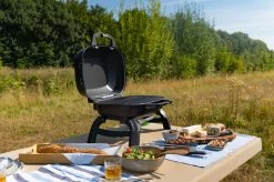 Napoleon TravelQ 240 Kompakt Gasgrill Schwarz- Modell 2023 -Broil King Store Napoleon TravelQ TQ240 Kompaktgrill