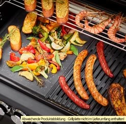 Rösle Gasgrill Magnum PRO G4-S Inkl. Abdeckhaube - Modell 2023 25 Rösle Gasgrill Magnum PRO G4-S Inkl. Abdeckhaube - Modell 2023 -Broil King Store Roesle Magnum Pro G4 S Grillflaeche