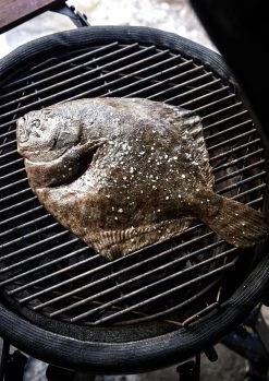 The Bastard Keramikgrill Classic Medium - Complete - Schwarz Glänzend - Modell 2023 33 The Bastard Keramikgrill Classic Medium - Complete - Schwarz Glänzend - Modell 2023 -Broil King Store The Bastard Medium Keramikgrill Grillflaeche 1