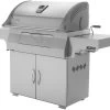 Napoleon Charcoal Professional Edelstahl Holzkohlegrill PRO605CSS -Broil King Store napoleon pro605 kohlegrill pro605css