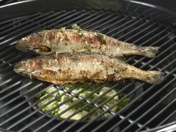 Outdoorchef Gusseisenpfanne / Aromapfanne Ø 23cm -Broil King Store outdoorchef aromapfanne 18 211 71 f