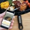 Outdoorchef Gourmet Check Dual BT Bluetooth Grillthermometer -Broil King Store outdoorchef gourmet check dual bt 18 212 59 01
