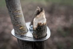 Petromax Dreibein-Ring 17 Petromax Dreibein-Ring -Broil King Store petromax dreibeinring detail d ring